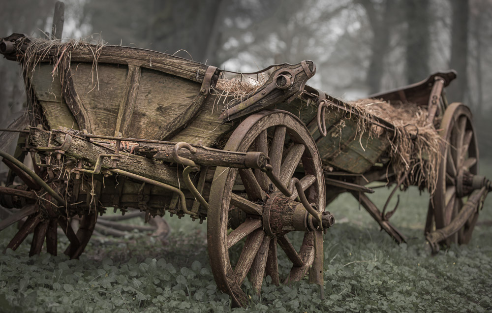 Platz 9 Anton Kienle